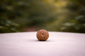 11 Mukhi Rudraksha