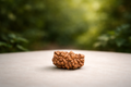 1 Mukhi Rudraksha
