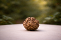 3 Mukhi Rudraksha