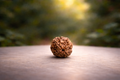 4 Mukhi Rudraksha