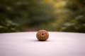 9 Mukhi Rudraksha