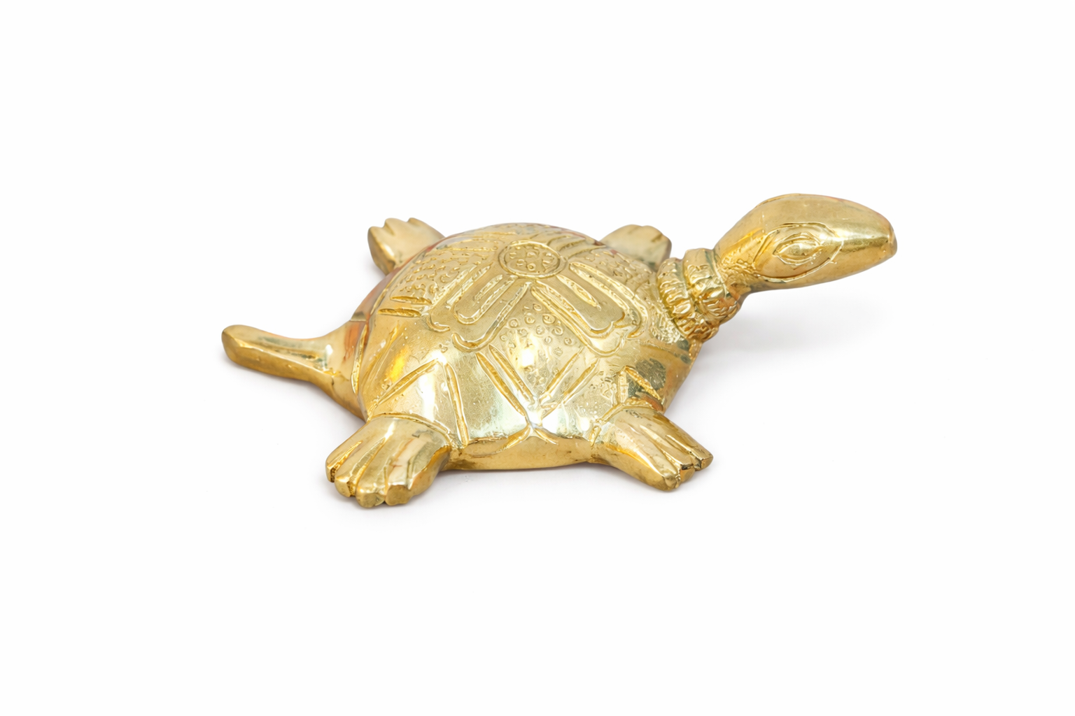Brass  Tortoise