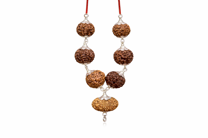 Special Rudraksha
