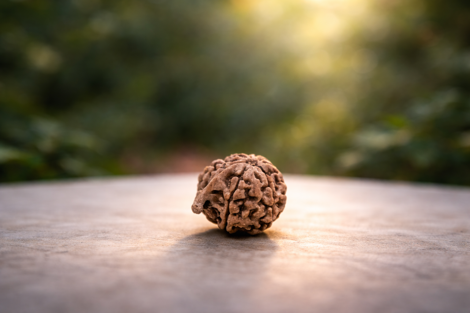 Ganesh Rudraksha